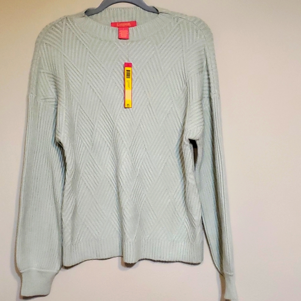 Catherine Malandrino Cool Mint Crew Neck Sweater, Size Large